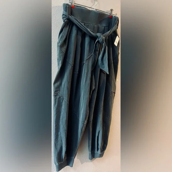 FREE PEOPLE EXPOSED SEAM ATTACHED SASH BAGGY JOGGERS SIZE L~NWT - Picture 3 of 7